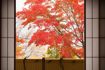 Hoshino Resorts Kai Nikko Esterno foto